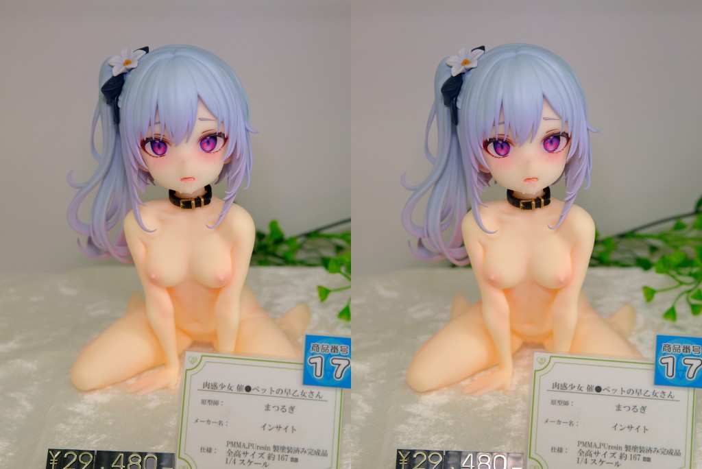 インサイト 肉感少女 催●ペットの早乙女さん