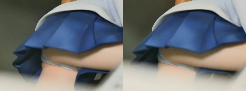 F:NEX とらドラ！ 逢坂大河 フィギュアパンツ